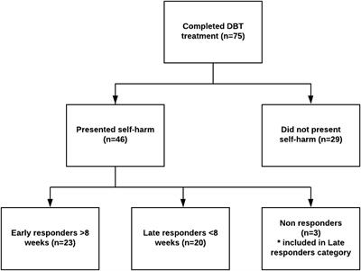 Frontiers | Cessation Of Deliberate Self-Harm Behavior In Patients With ...